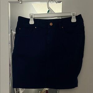 Chic Navy Mini Skirt